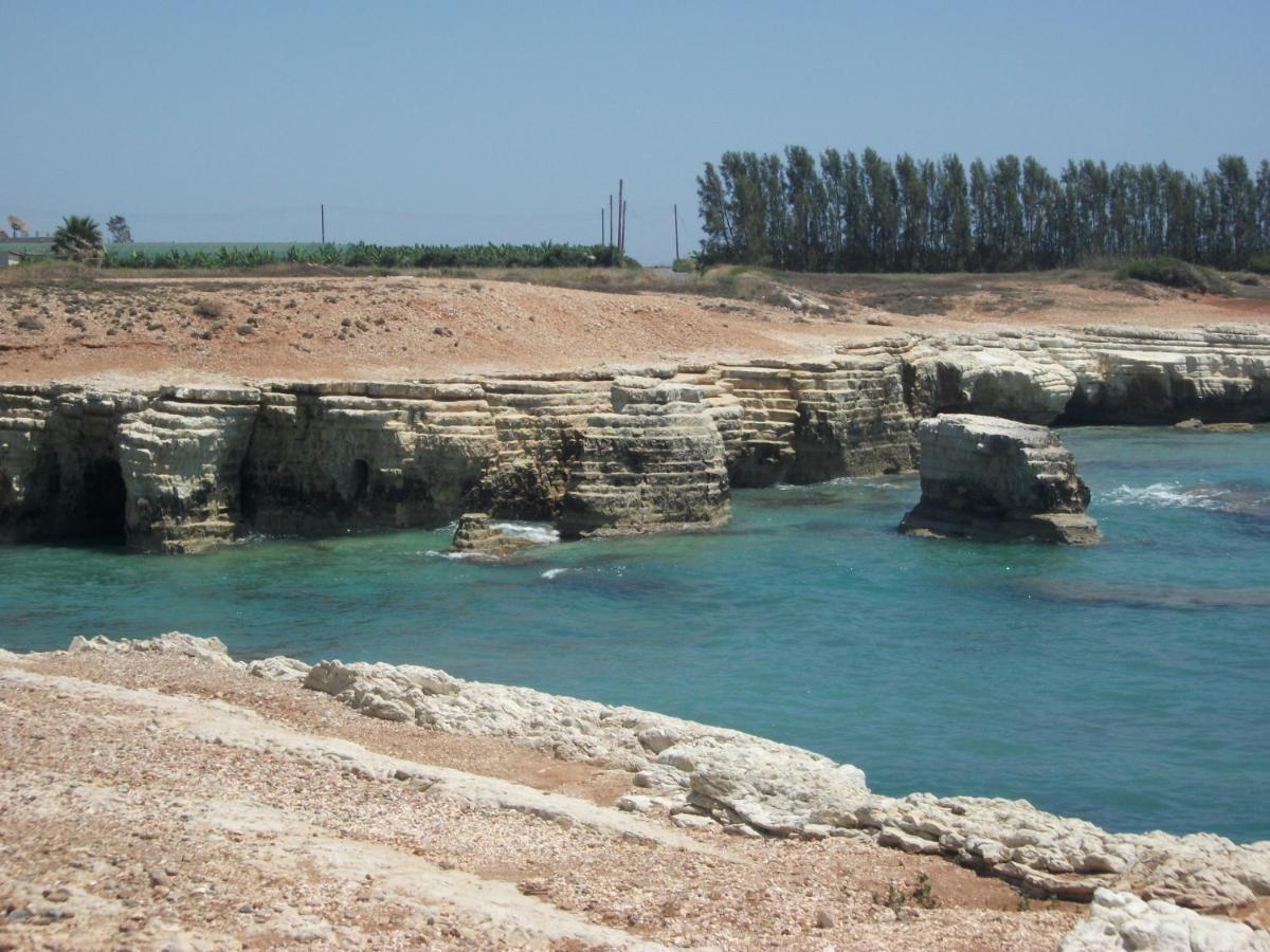 Villa Laurel بييا المظهر الخارجي الصورة